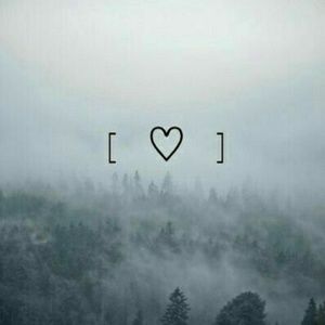 Meet your Posher, Christy